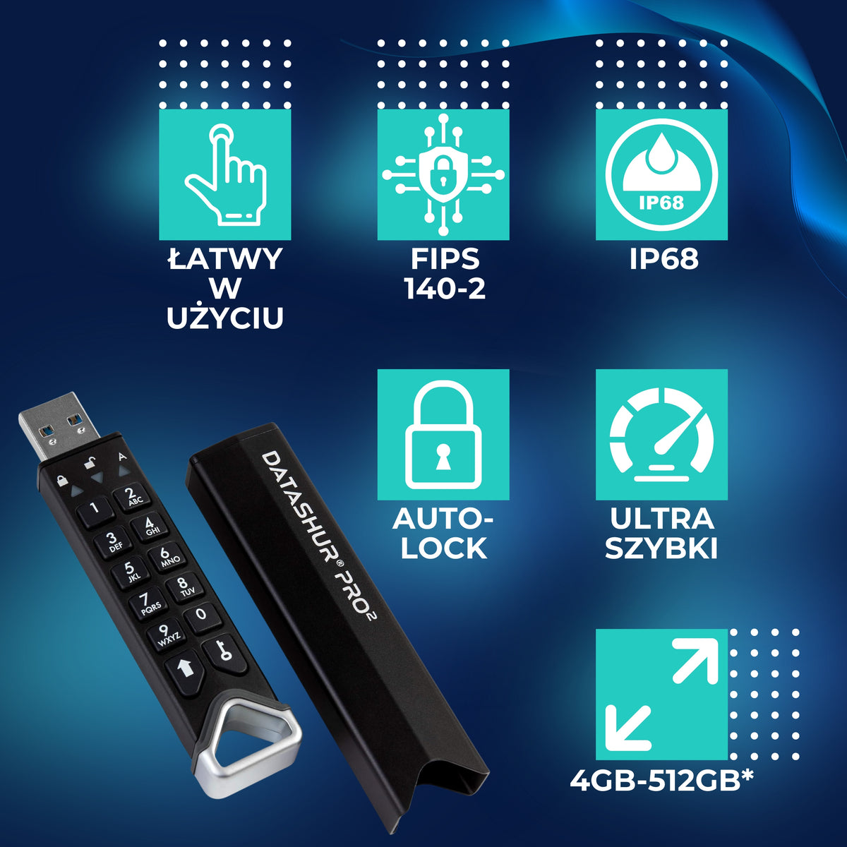 DatAshur PRO2 4GB Encrypted Flash Drive | USB 3.2 | AES 256-bit Color black