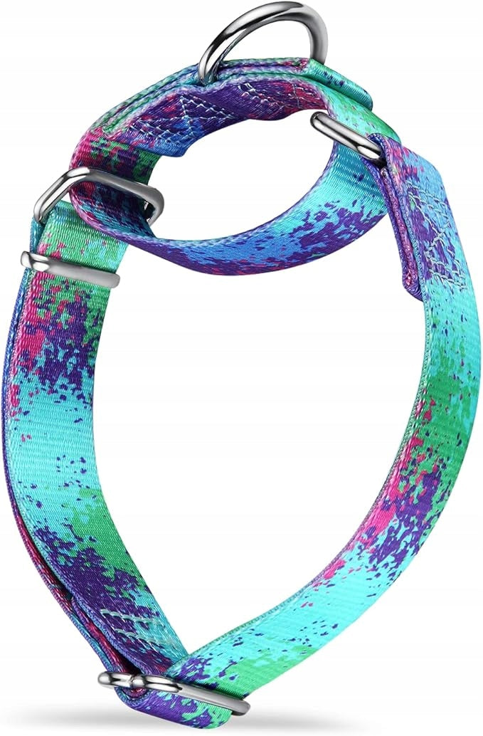 Dazzber Dog Collar Small 2,5 cm Width for Small Dogs Size M