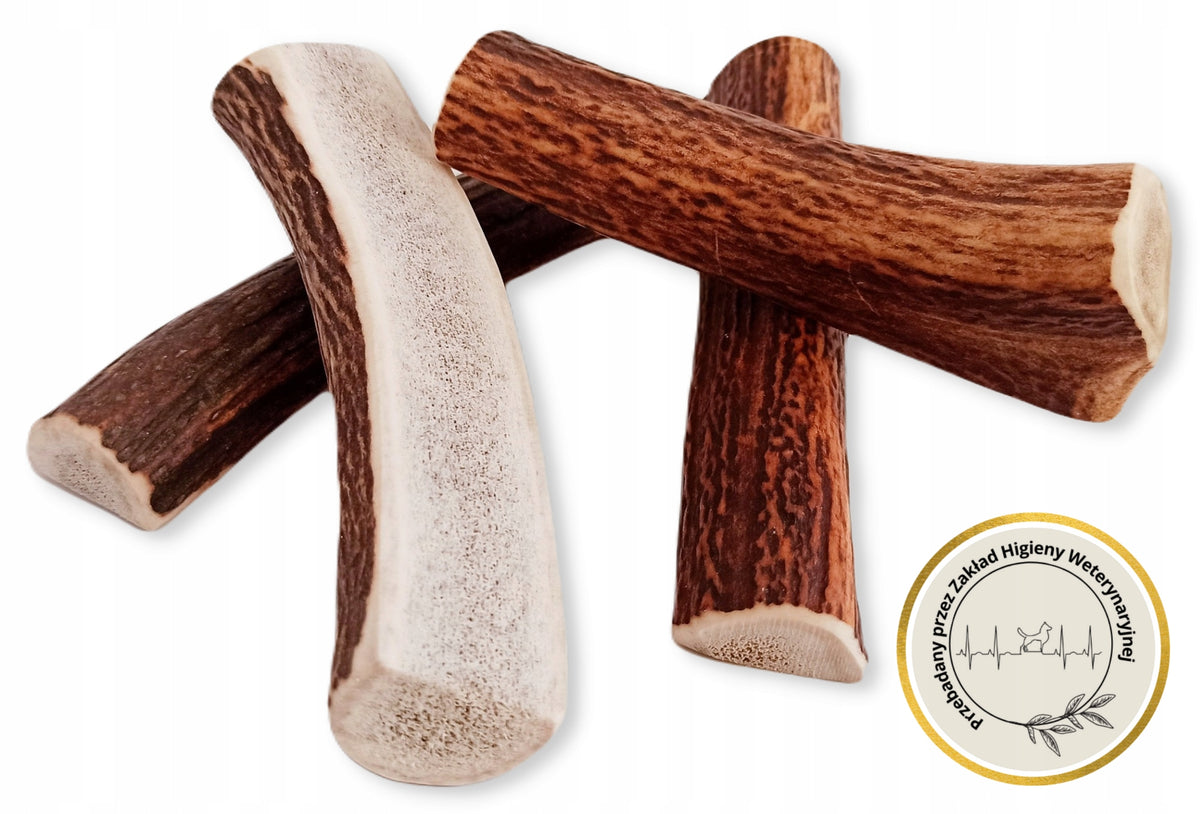 Deer Antlers Teether for Dog L easy 15-17 cm