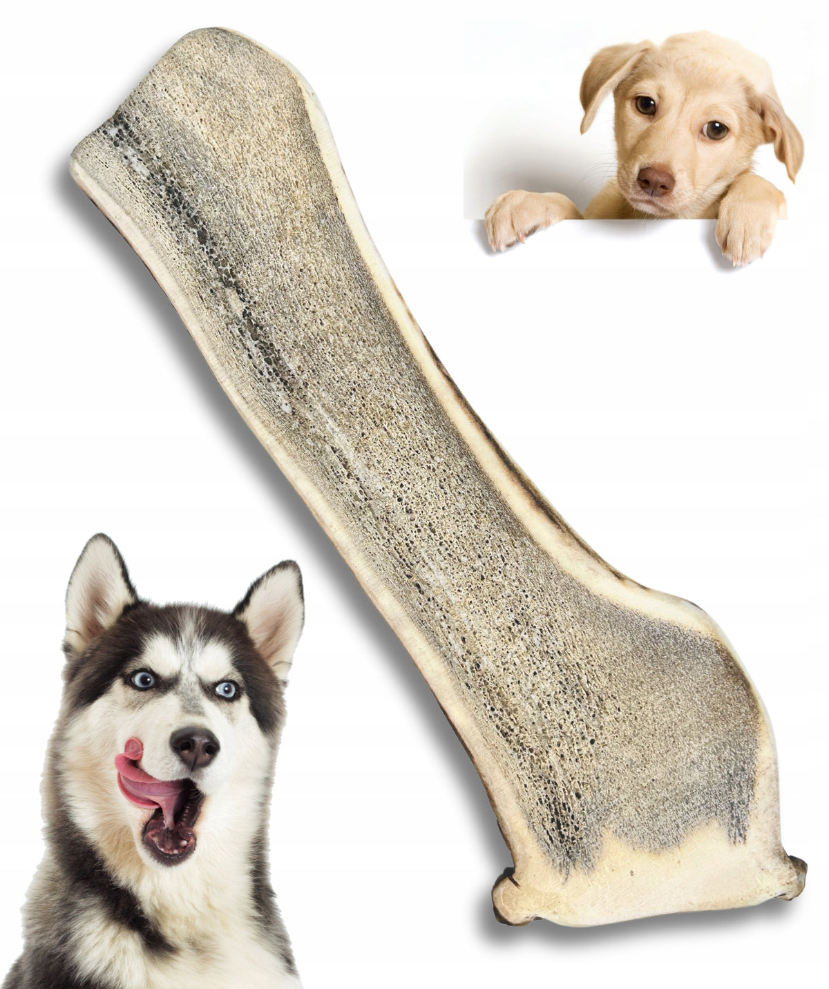 Deer Antlers Teether for Dog XXL easy 18-20 cm