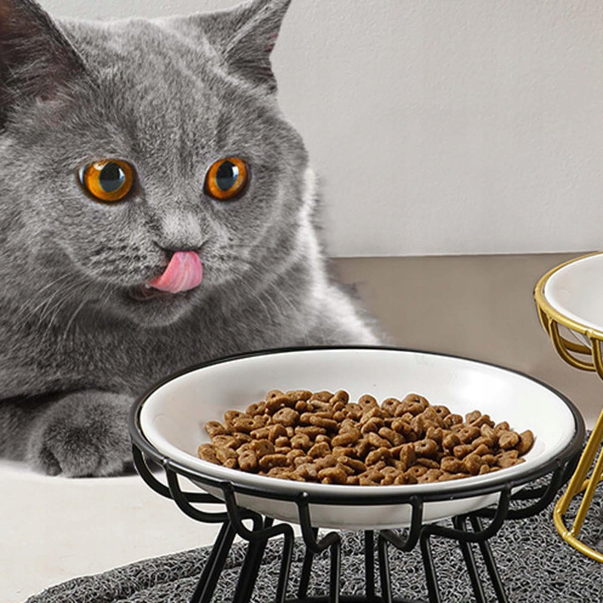 Detachable Ceramic Cat Dog Bowls Elevated Feeder Iron Fish Print Plate Packaging status original