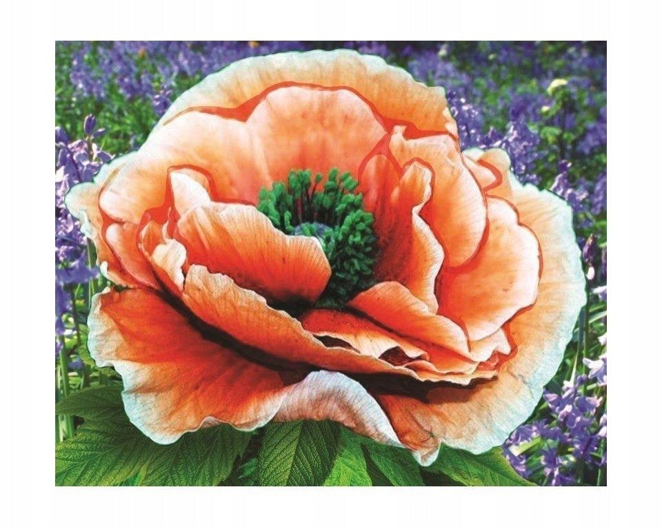 Diamantmosaik 17x21 cm. „Helle Mohnblume“ 