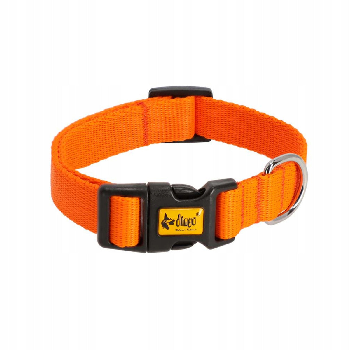 Dingo Adjustable collar with buckle 1,6x35 cm