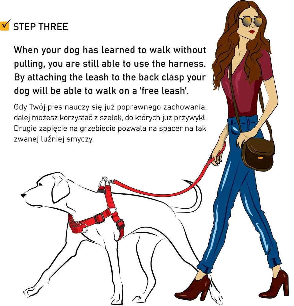 Dingo Dog Training Harness r.S red Brand Dingo