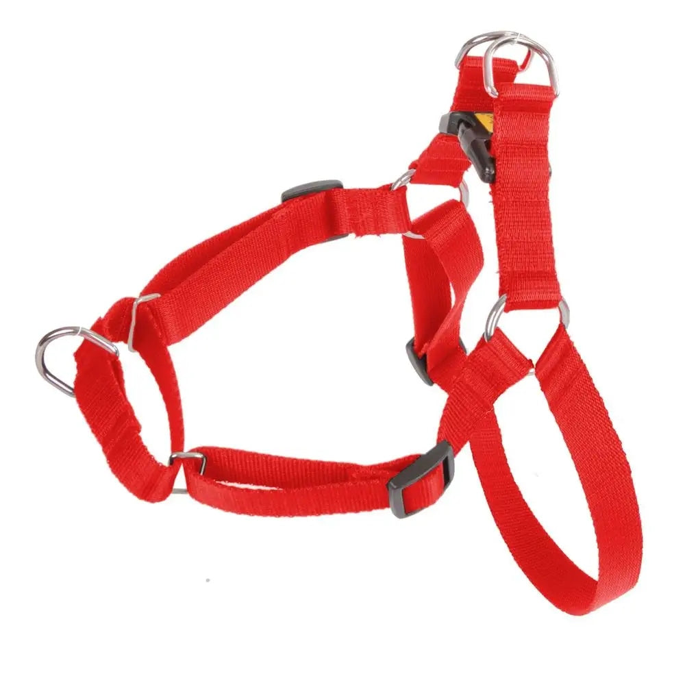 Dingo Dog Training Harness r.S red