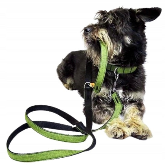 Dingo Extended leash Scandi 2x220cm grey Manufacturer code 5904760148277