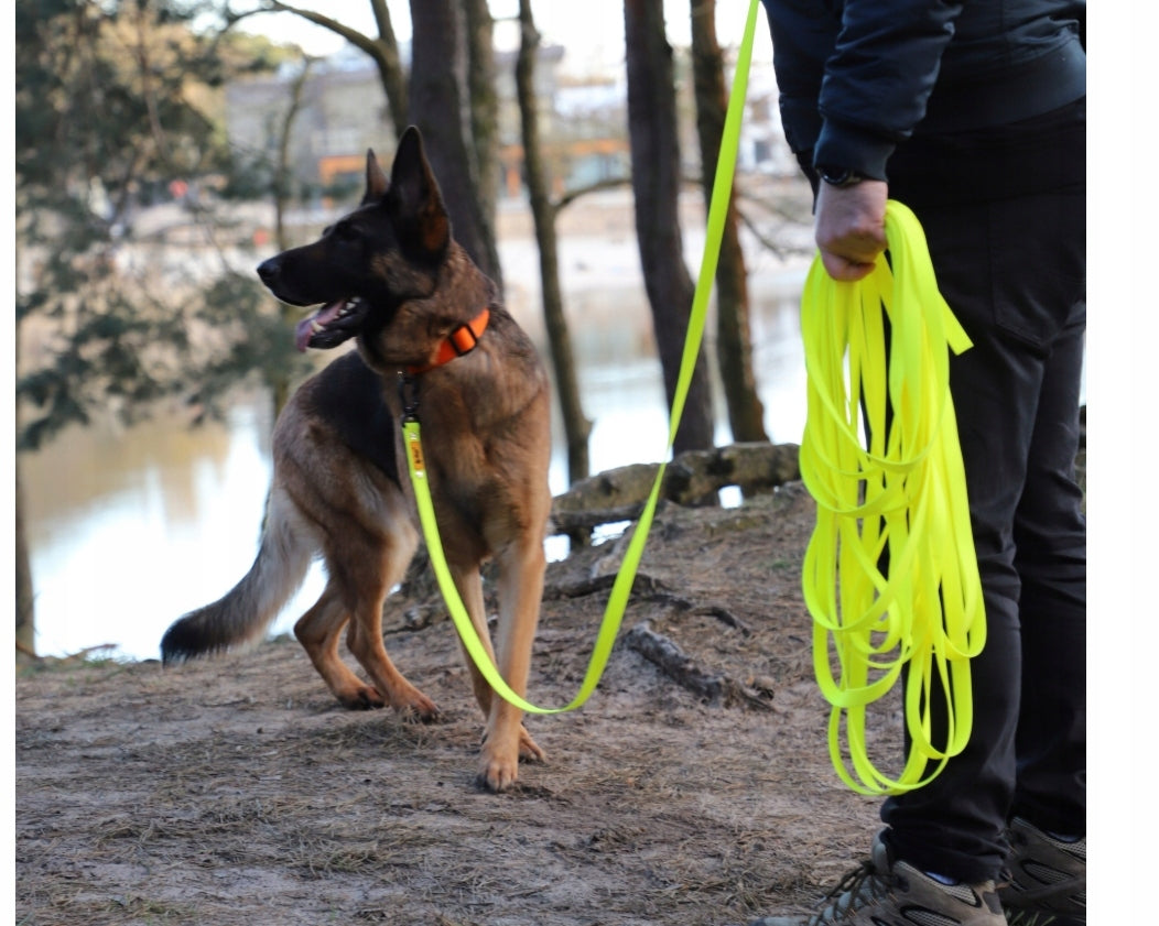 Dingo Flex dog training leash 5 m 1,6 cm yellow PVC strong without handle Manufacturer code 5904760101708