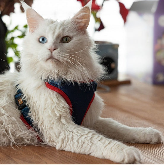 Dingo Pressure-free harness with two-strap adjustment M navy blue Packaging status original