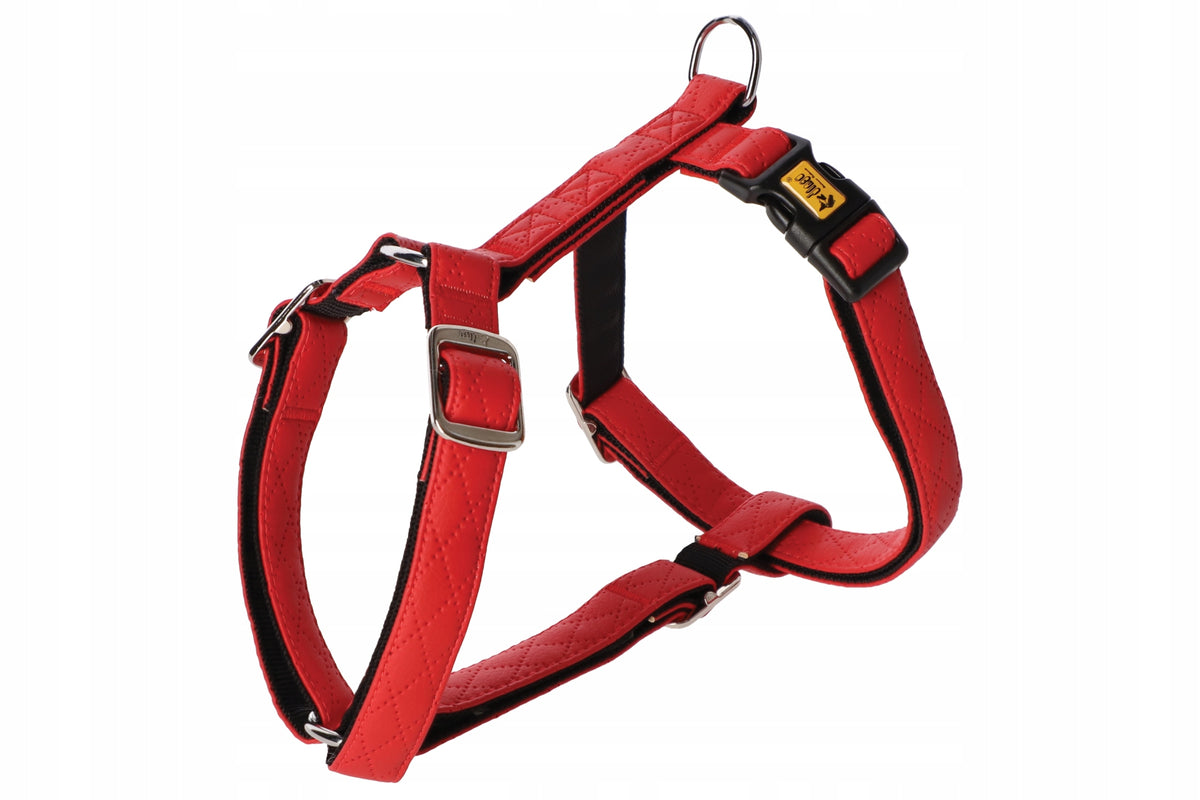 Dingo Vegan Harness Terra Fire S