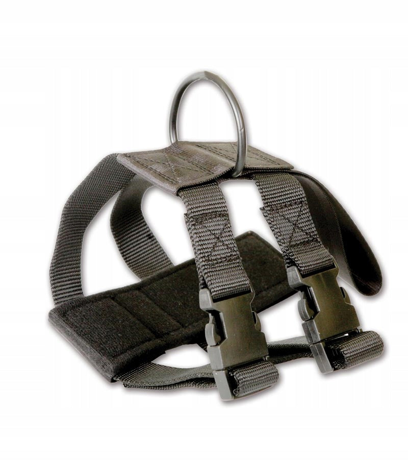 Dingo dog harness for car size NS