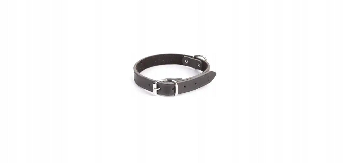 Dingo leather collar 2.0x50cm black 13653