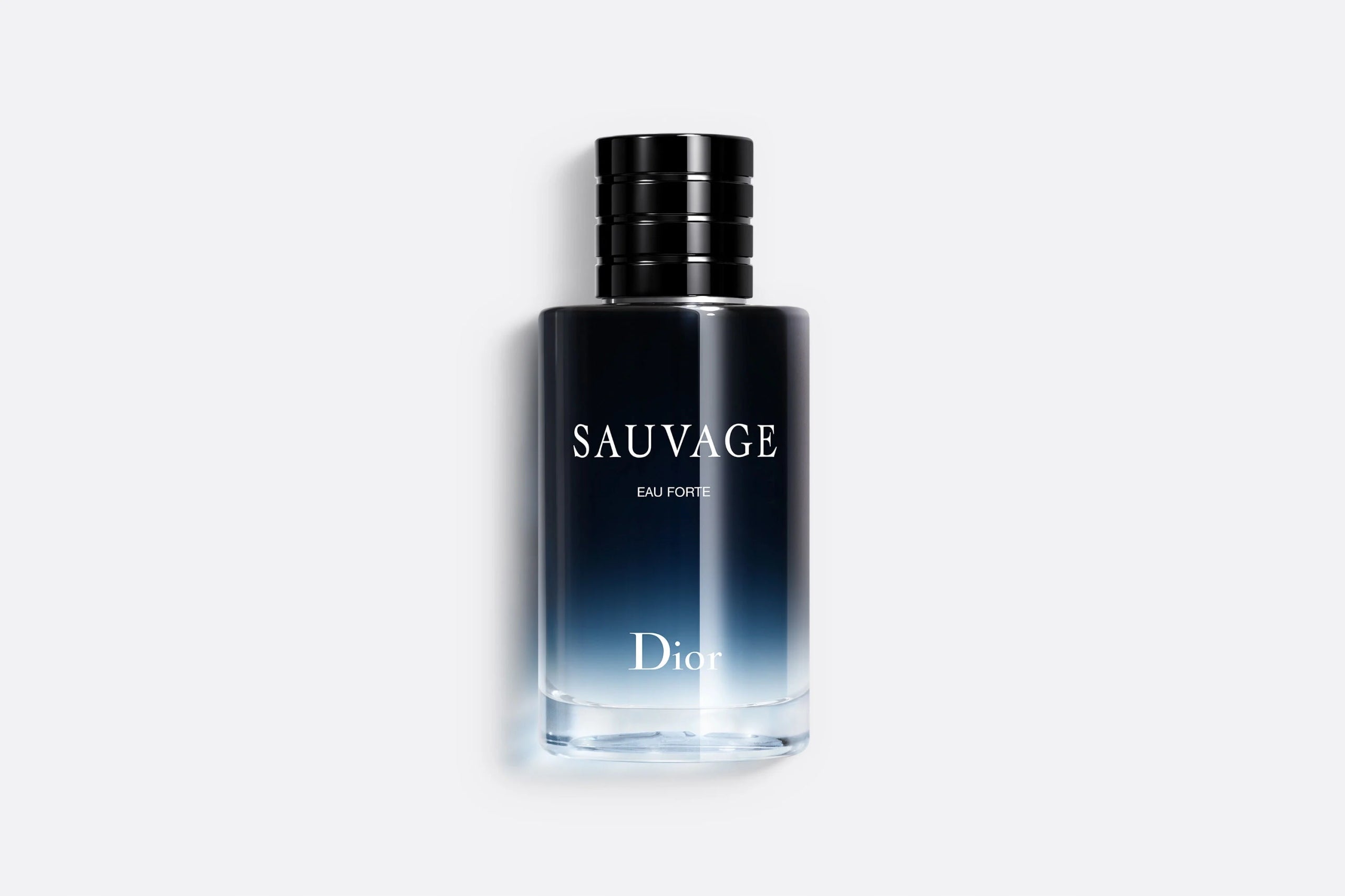 Dior Fougère Sauvage Eau Forte perfume 100 ml