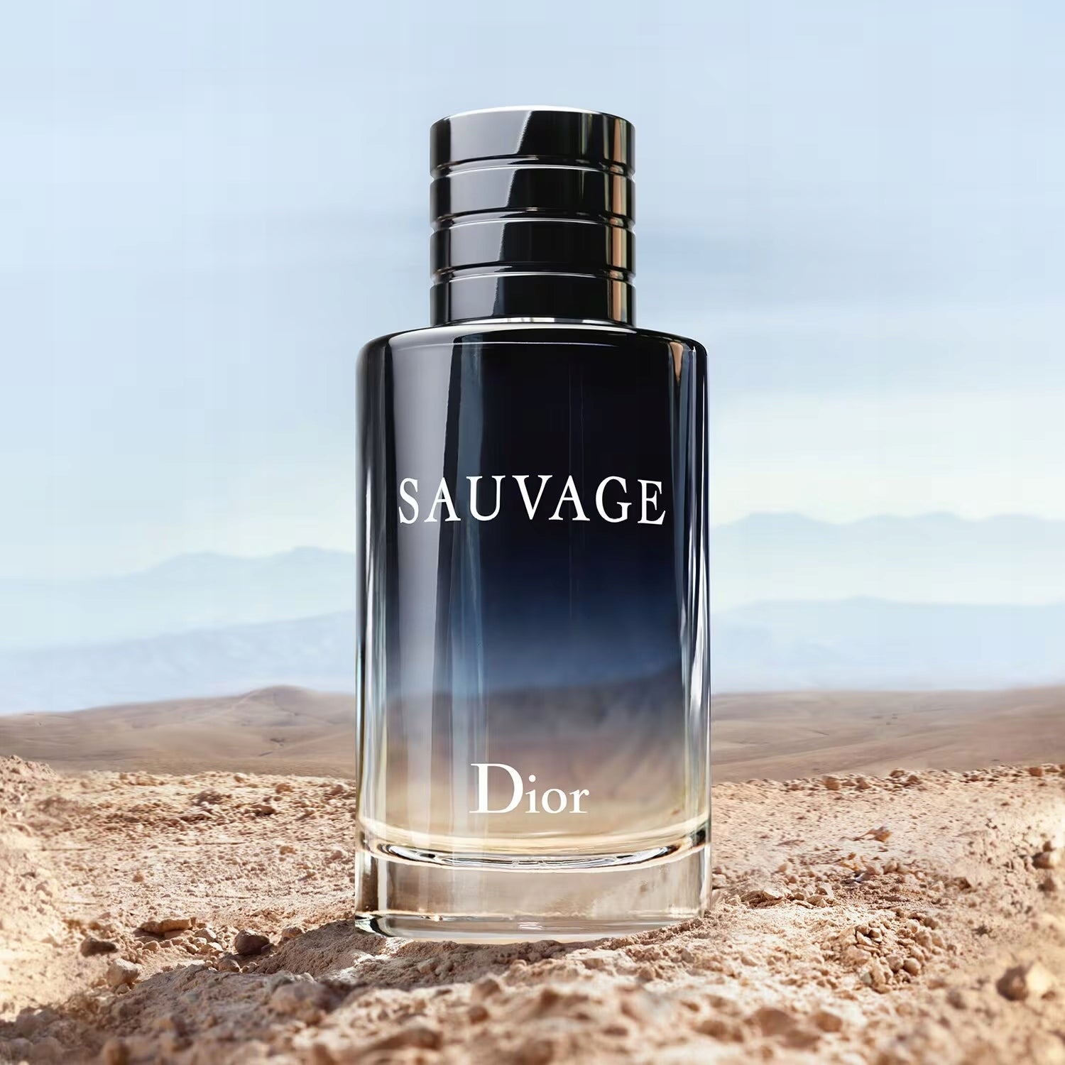 Dior Sauvage eau de toilette for men 100 ml Brand Dior
