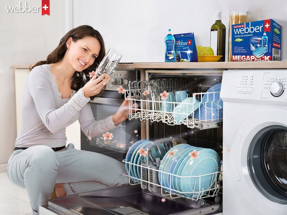 Dishwasher shiner Webber ECOline 500ml Packaging status original