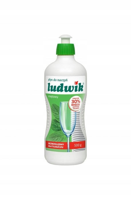 Dishwashing liquid LUDWIK 450g mint
