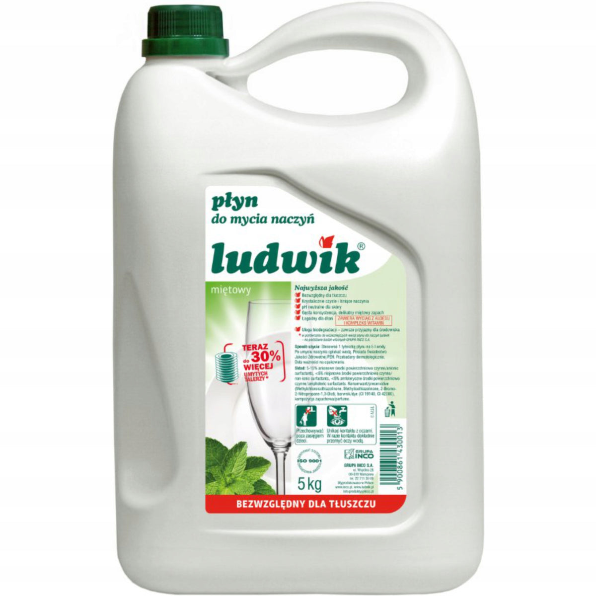 Dishwashing liquid Ludwik Mint - 2X 5 l
