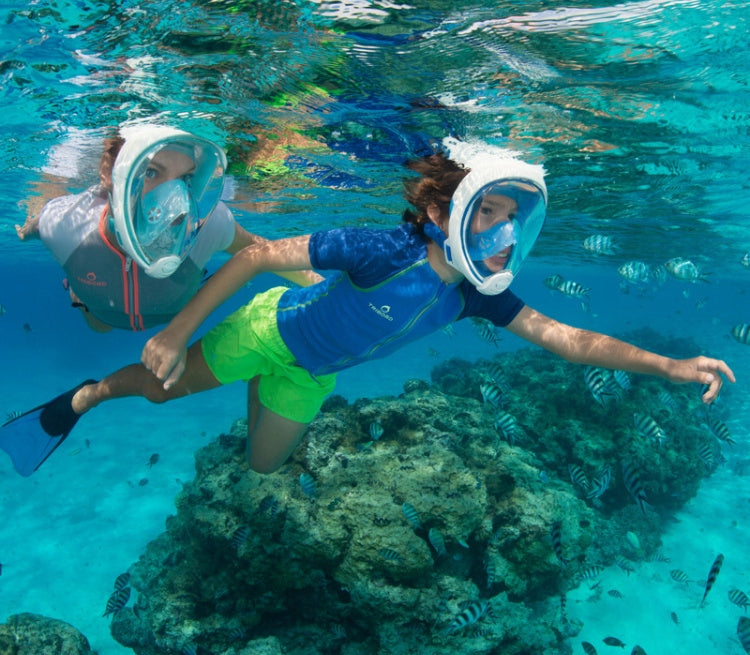 Diving Mask SNORKELING Swimming Full Face L/XL 180°Visibility Brand Asato