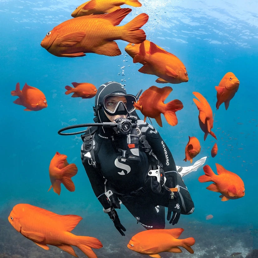 Diving mask Scubapro SOLO EAN (GTIN) 4048336102940