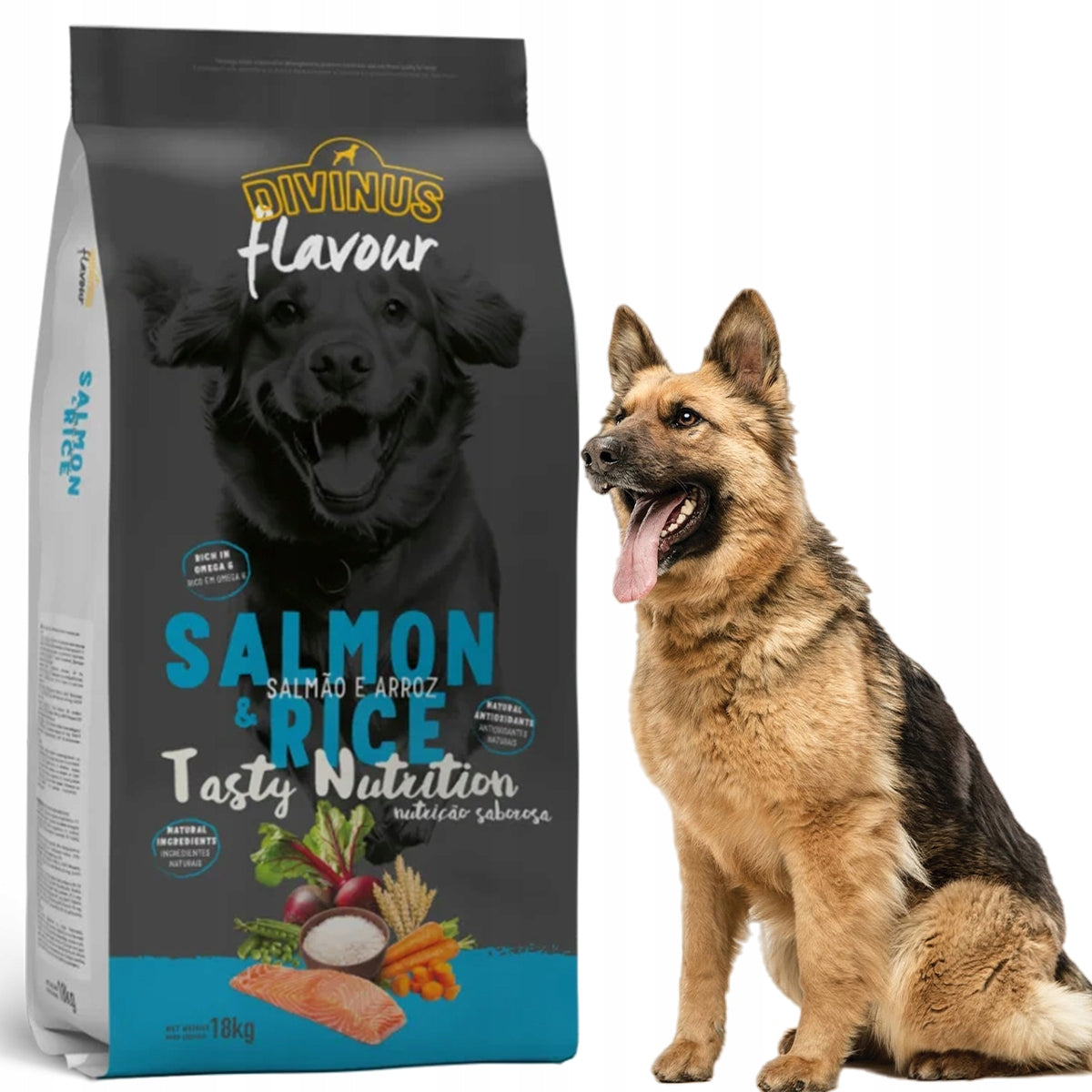 Divinus FLAVOUR DOG - salmon with rice 18 kg dry food Brand Divinus