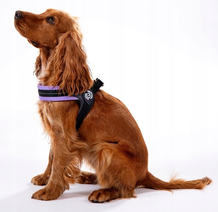 Dog BRACES M 43-58cm TRE PONTI Mesh PURPLE Jack Russell Dachshund Brand Tre Ponti