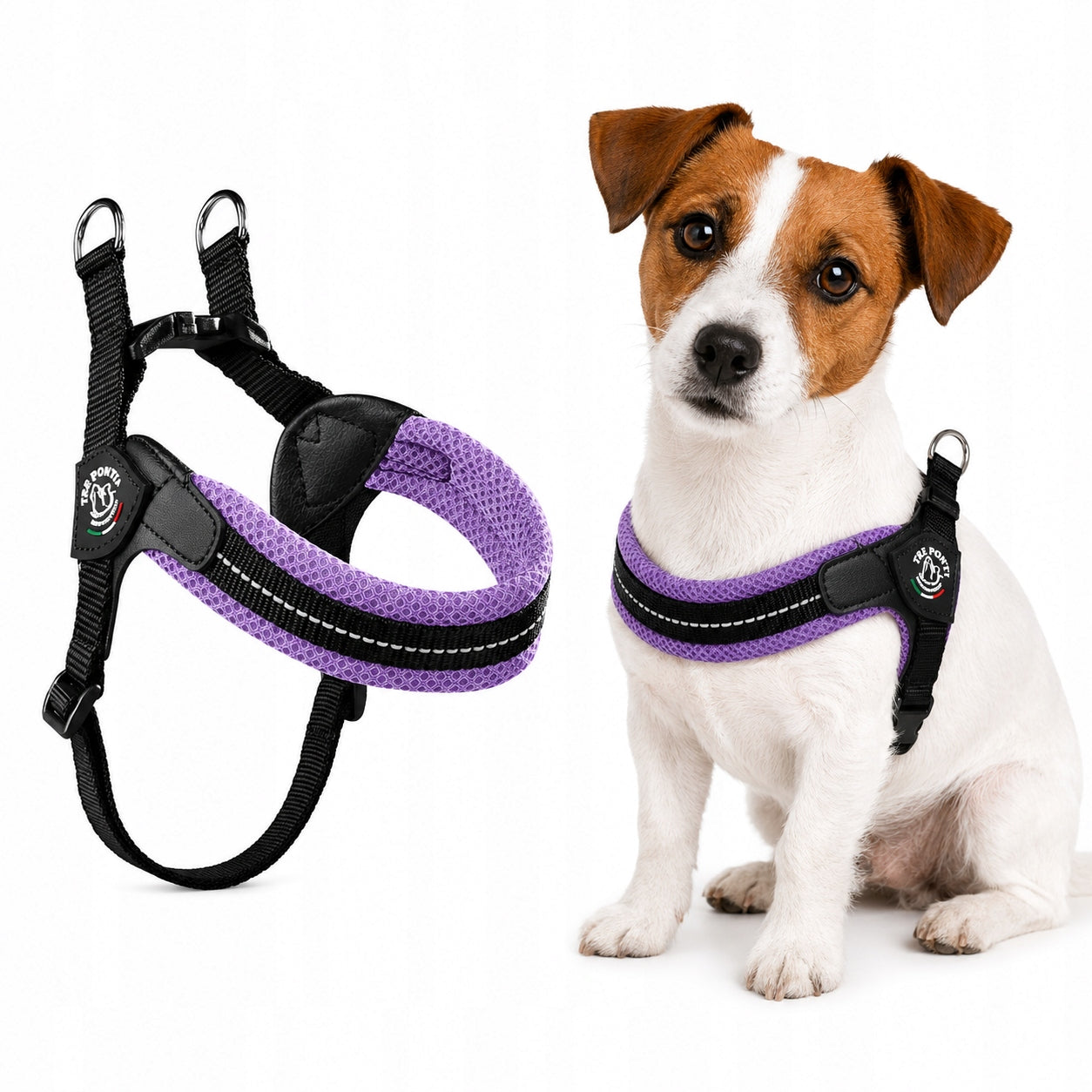 Dog BRACES M 43-58cm TRE PONTI Mesh PURPLE Jack Russell Dachshund