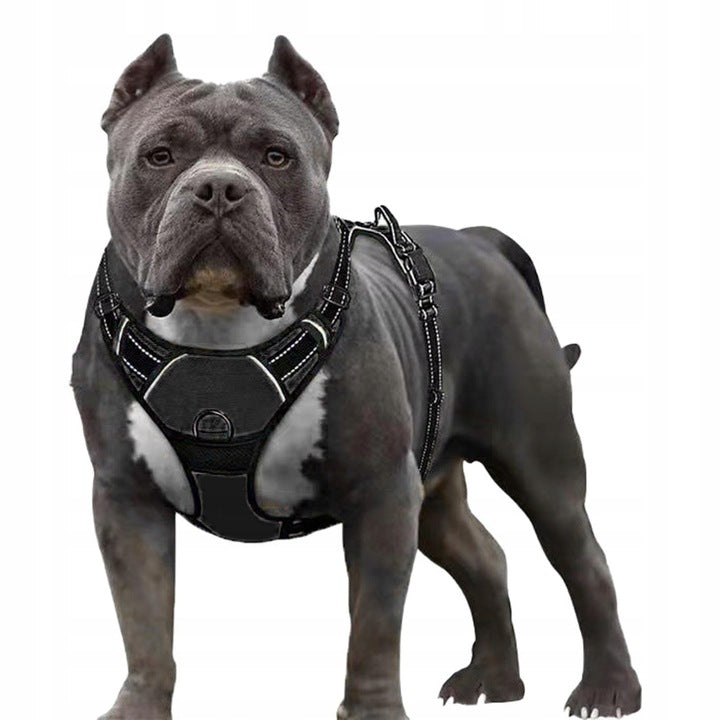 Dog BRACES PRESSURE-FREE black PetGang GUARD M 38-71cm Dachshund Pug Color black