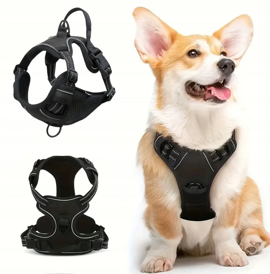 Dog BRACES PRESSURE-FREE black PetGang GUARD M 38-71cm Dachshund Pug Type adjustable