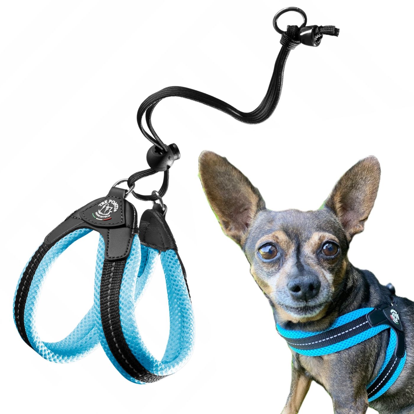 Dog BRACES Shih Tzu Pug 43-53cm TRE PONTI Blue SOFT