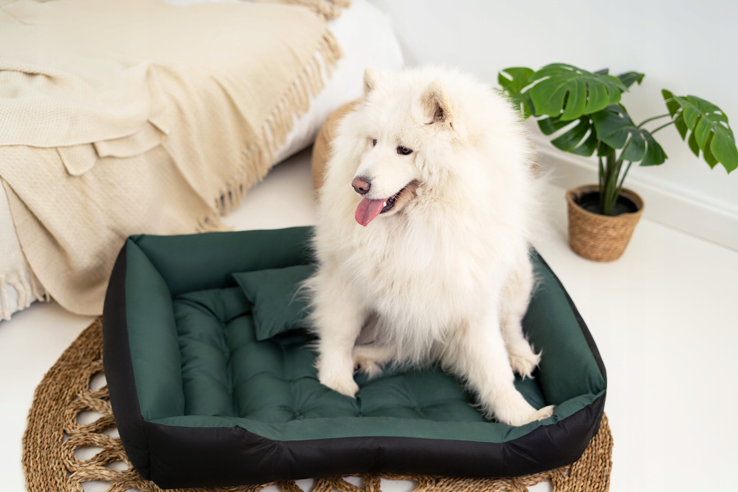 Dog Bed Cat Bedding Couch Playpen Waterproof Green 100x75 cm Brand no brand