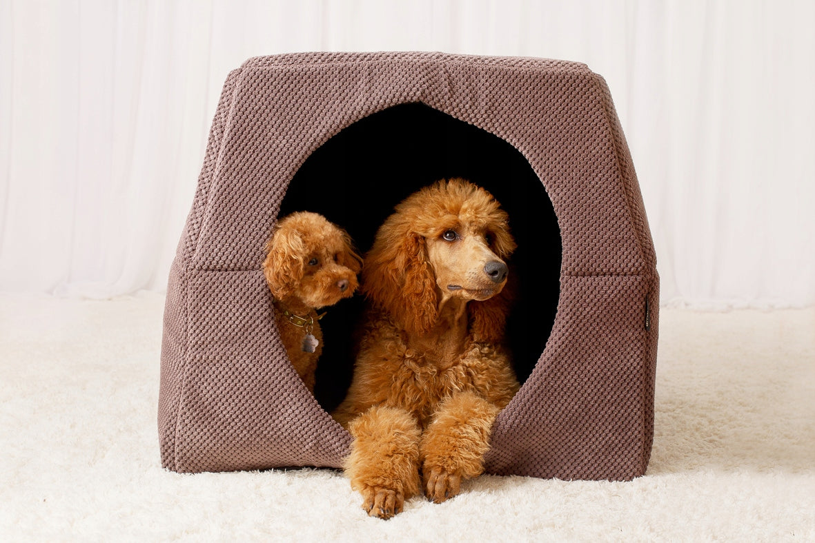 Dog Bed Cat Booth 2in1 XL Cottage 70x70cm Non-Slip Bedding Trade name Amibelle Legowisko 2w1 dla Psa Kota Budka 70x70 cm