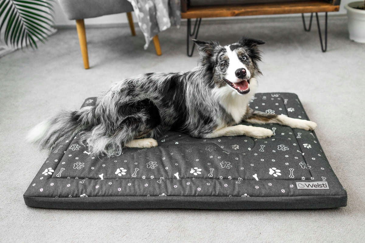 Dog Bed Mattress Waterproof 100x70 Welsti Bedding Pillow Mat EAN (GTIN) 5904422501853