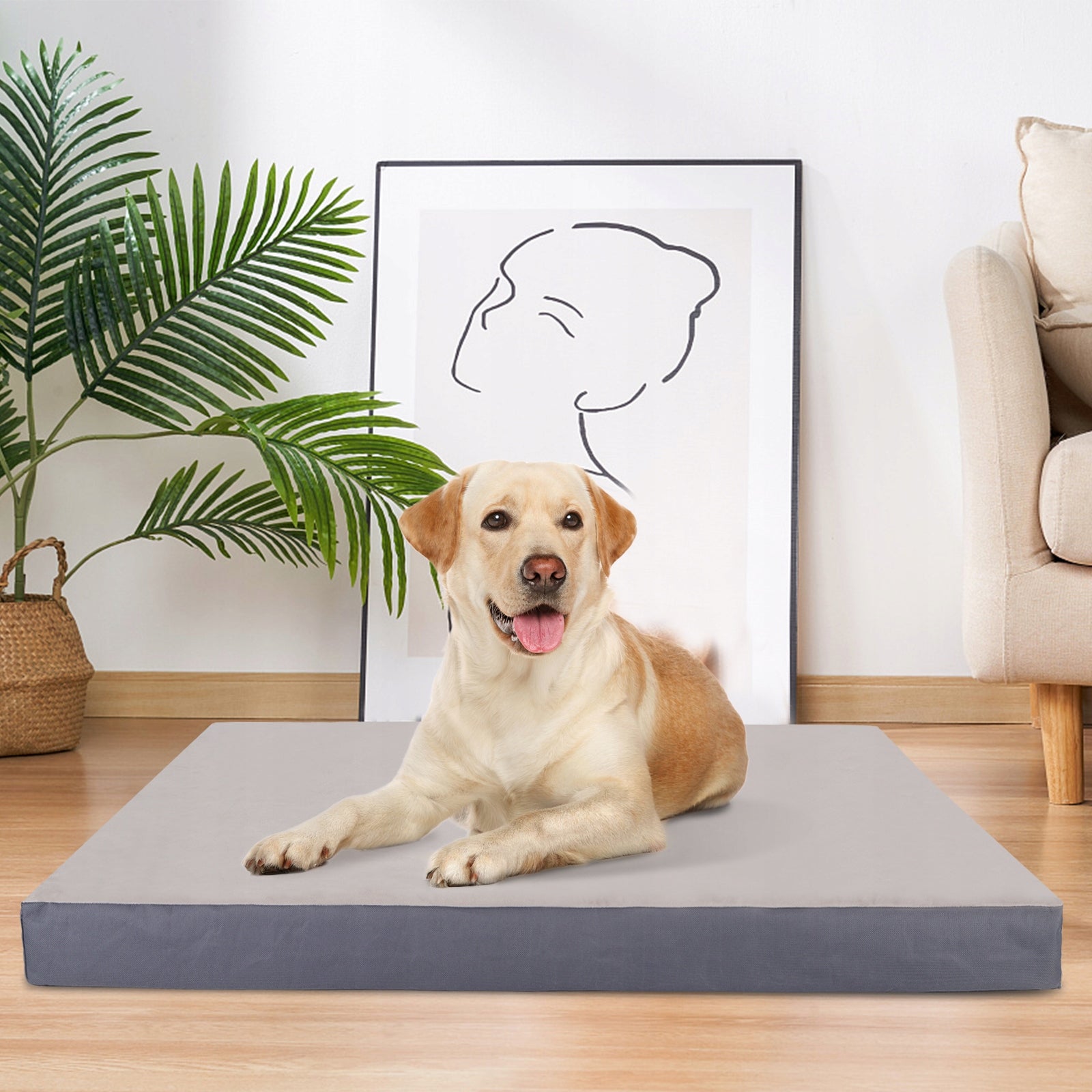 Dog Bed Memory Foam Mattress 75 cm x 50 cm Product width 50 cm