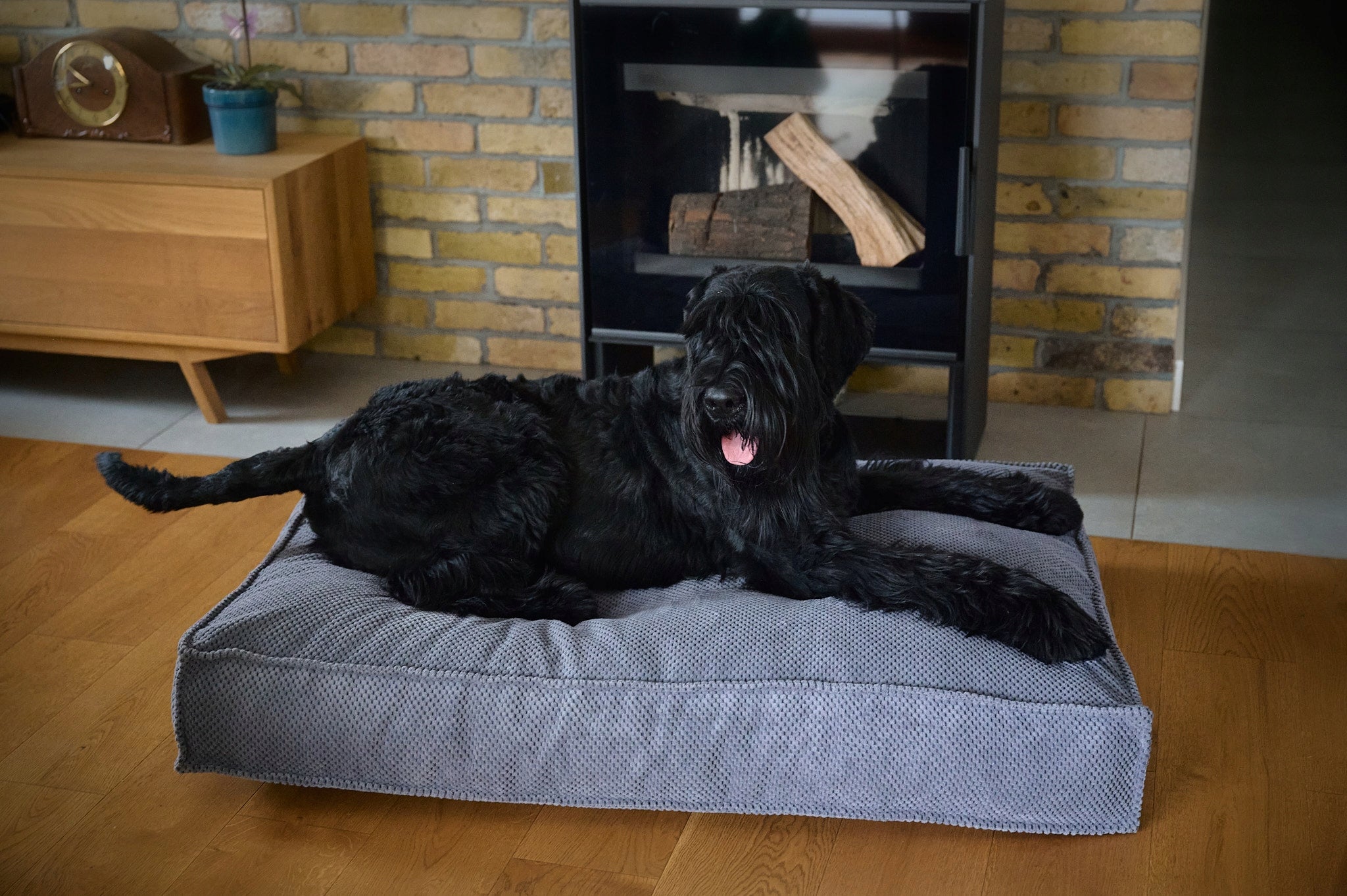 Dog Bed Pillow Bedding Mattress DOT Velour Large 120x80 cm Length 120 cm