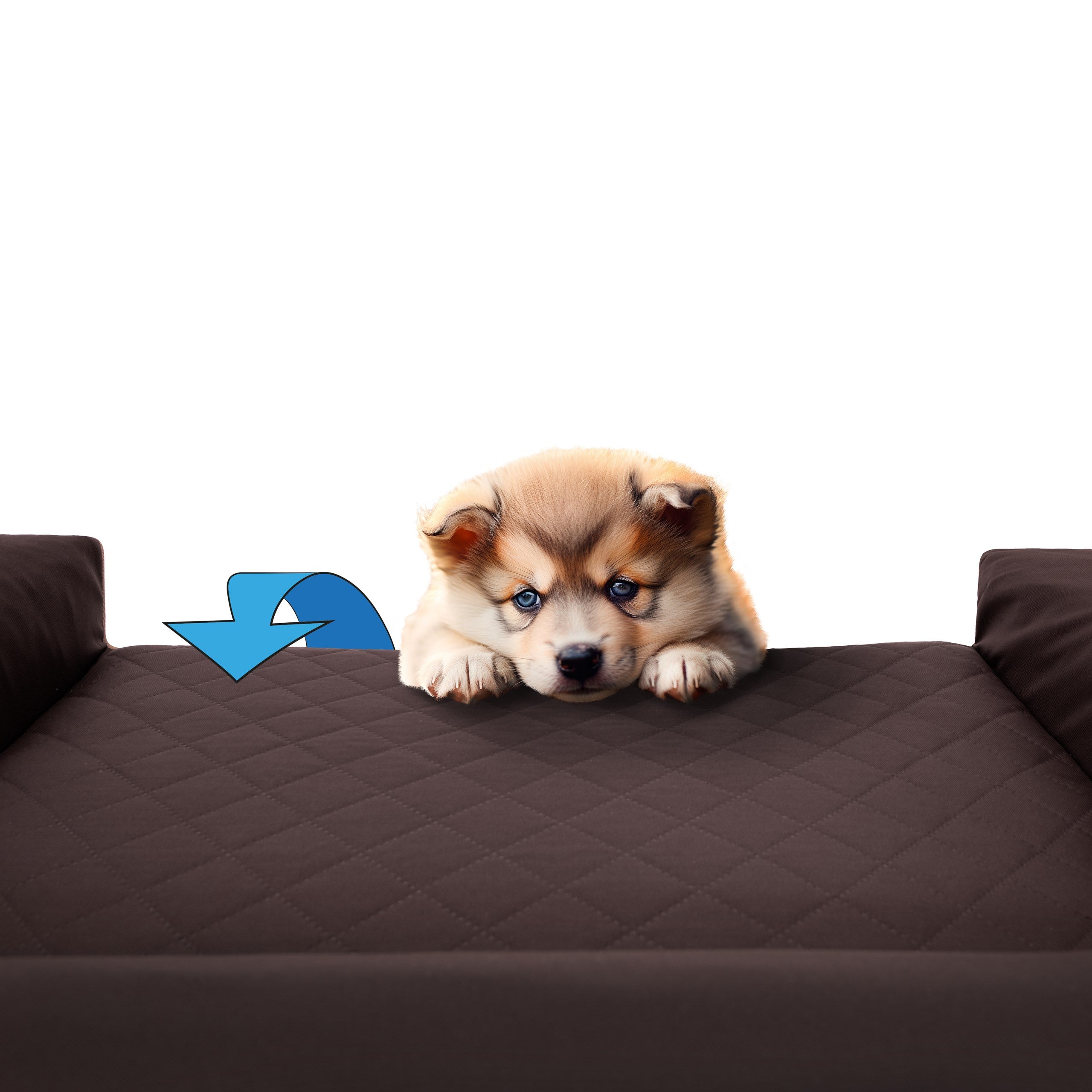 Dog Bed, Sofa WATERPROOF REMOVABLE COVER XL 100x65 cm Manufacturer code XL VICCBR2