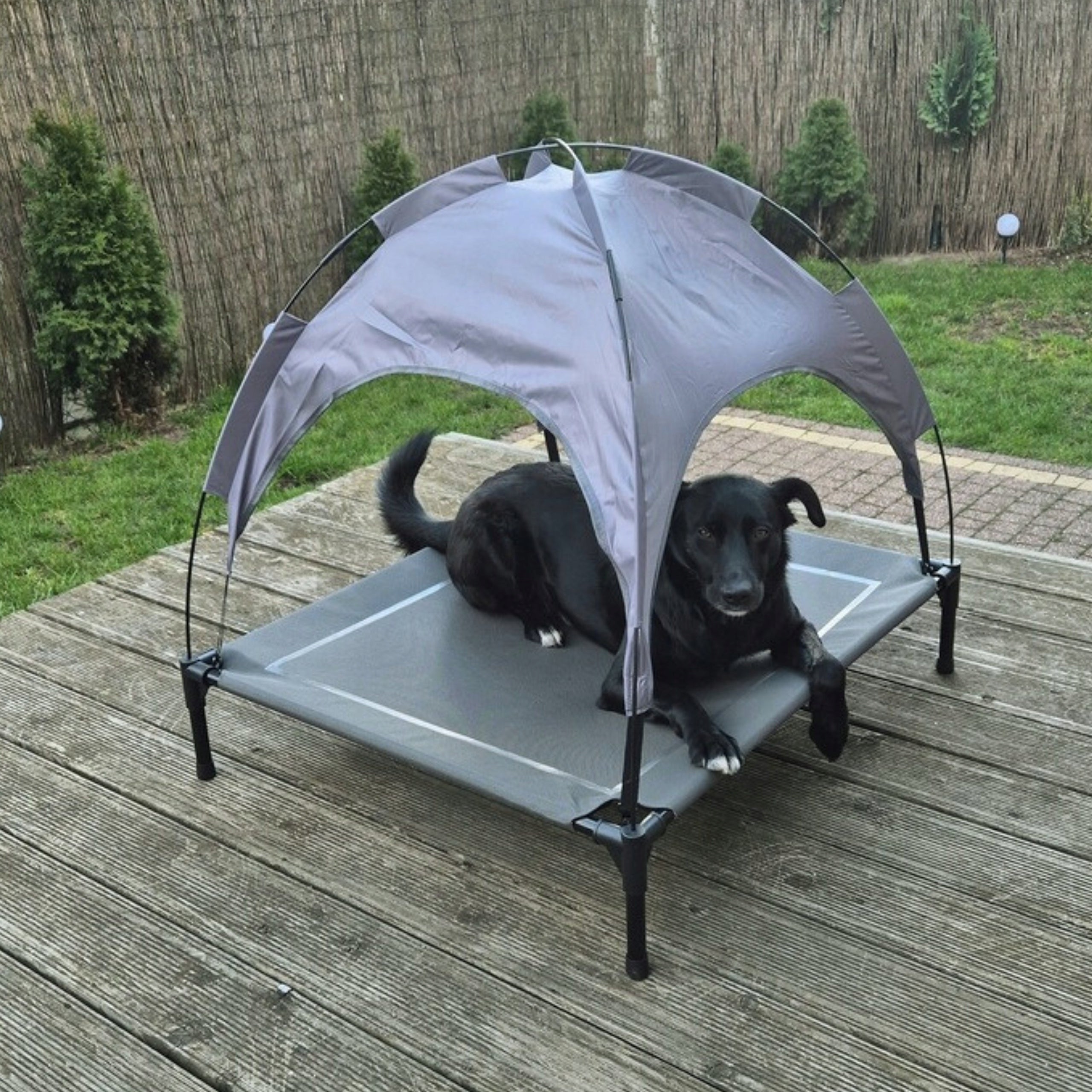 Dog Bed With Canopy Elevated Covered Tourist Large XXL EAN (GTIN) 5905999036663