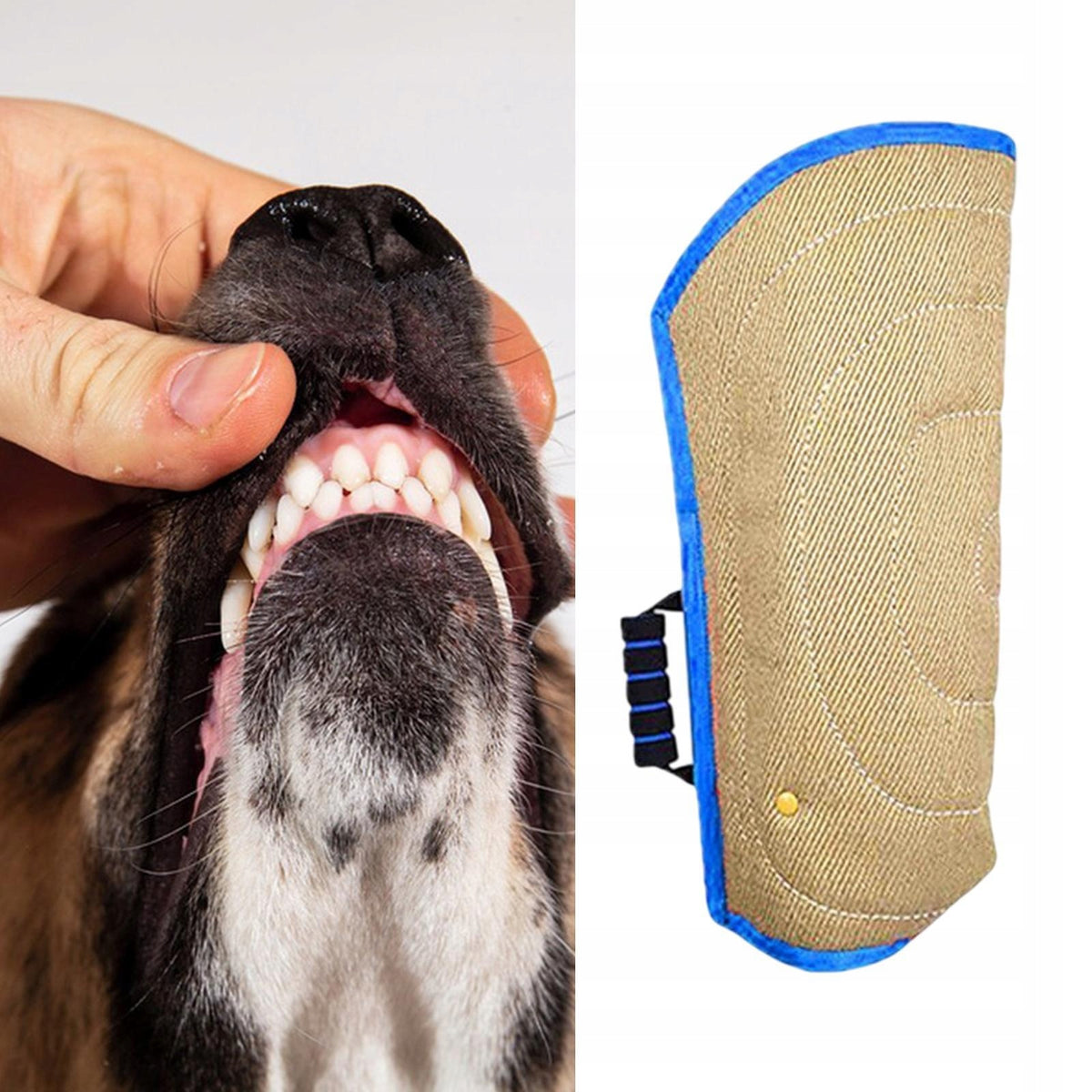 Dog Bite Pillow Training Equipment Dog Training Toy Interactive Toy blue