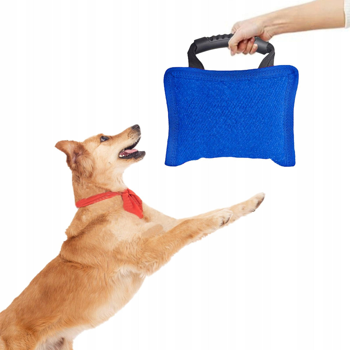 Dog Bite Pillow for Small and Medium Sized Dogs Premium with Strong Blue