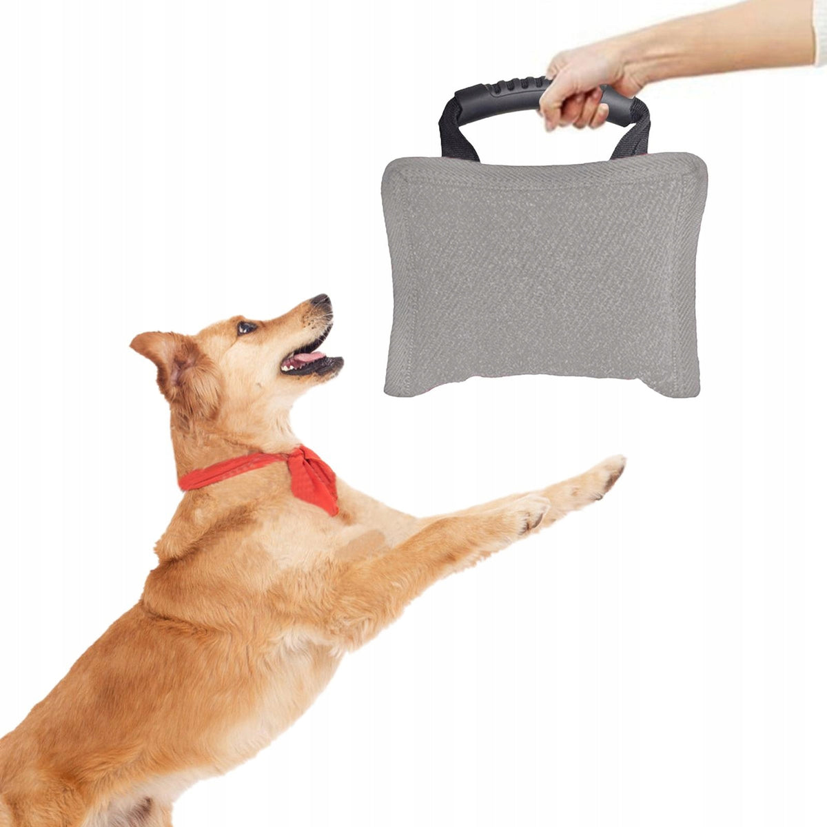 Dog Bite Pillow for Small and Medium Sized Dogs Premium with Strong Gray