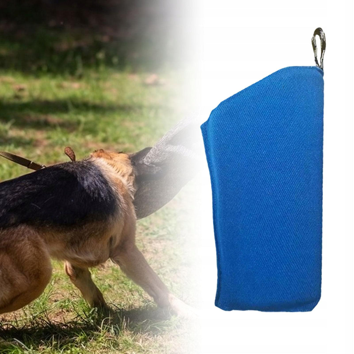 Dog Bite Protection Sheath, Training Protection, Interaction blue