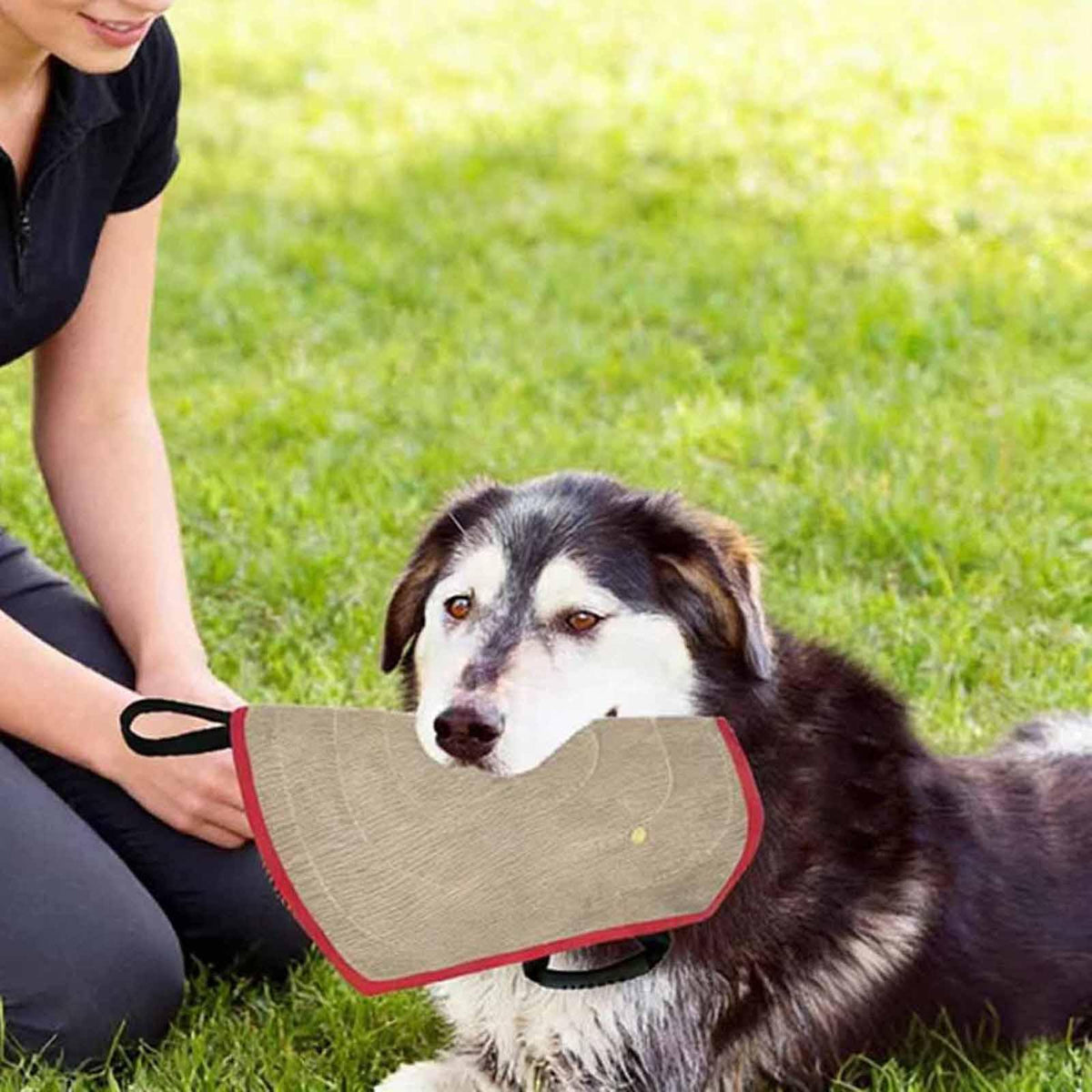 Dog Bite Sleeve Unique Handle Grip Design Lightweight Bite Protection red Packaging status original