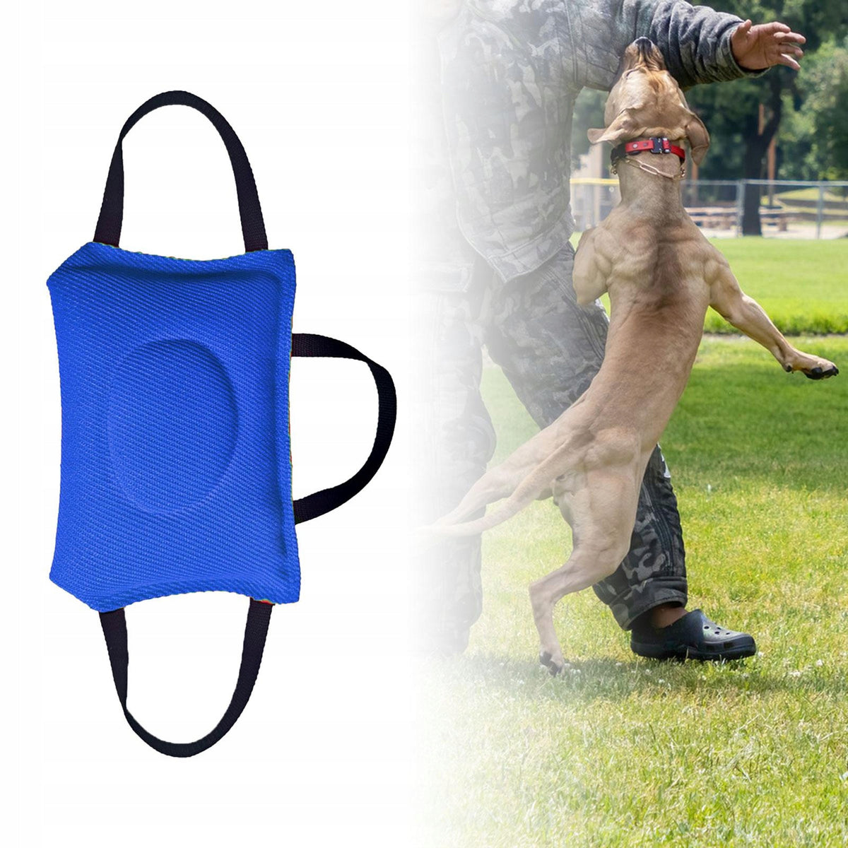 Dog Bite Tug Toy Practical Chewing Toys for Small Medium Dog Pet blue
