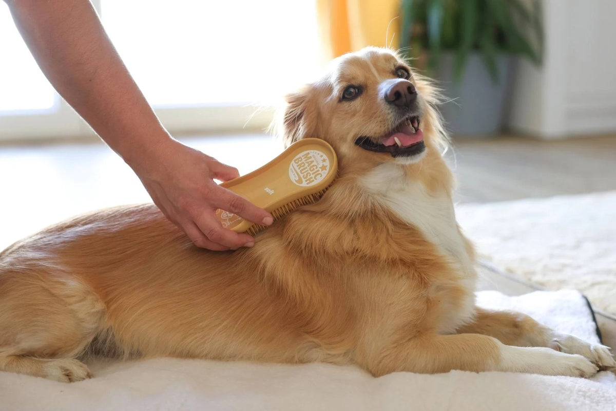 Dog Brush, Sandstorm, Soft, MagicBrush