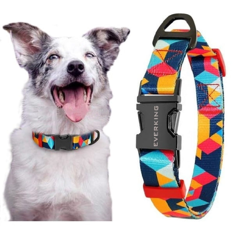 Dog COLLAR adjustable HOT AFRICA M