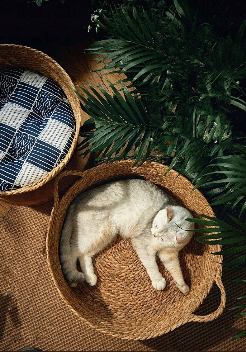 Dog Cat Bed Basket Round Braided + Soft Pillow Brand no brand
