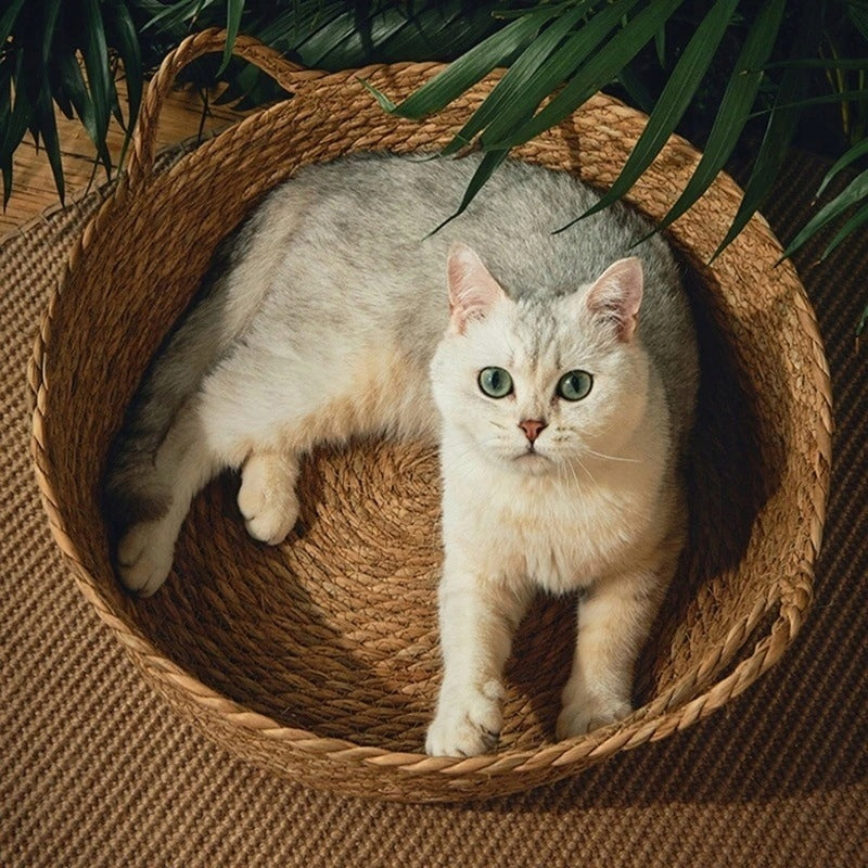 Dog Cat Bed Basket Round Braided + Soft Pillow Product width 42 cm