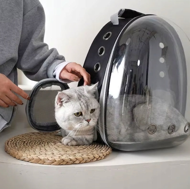 Dog Cat Transporter Backpack Carrier Bag Playpen Large Rabbit Animal Trade name Plecak dla kota psa