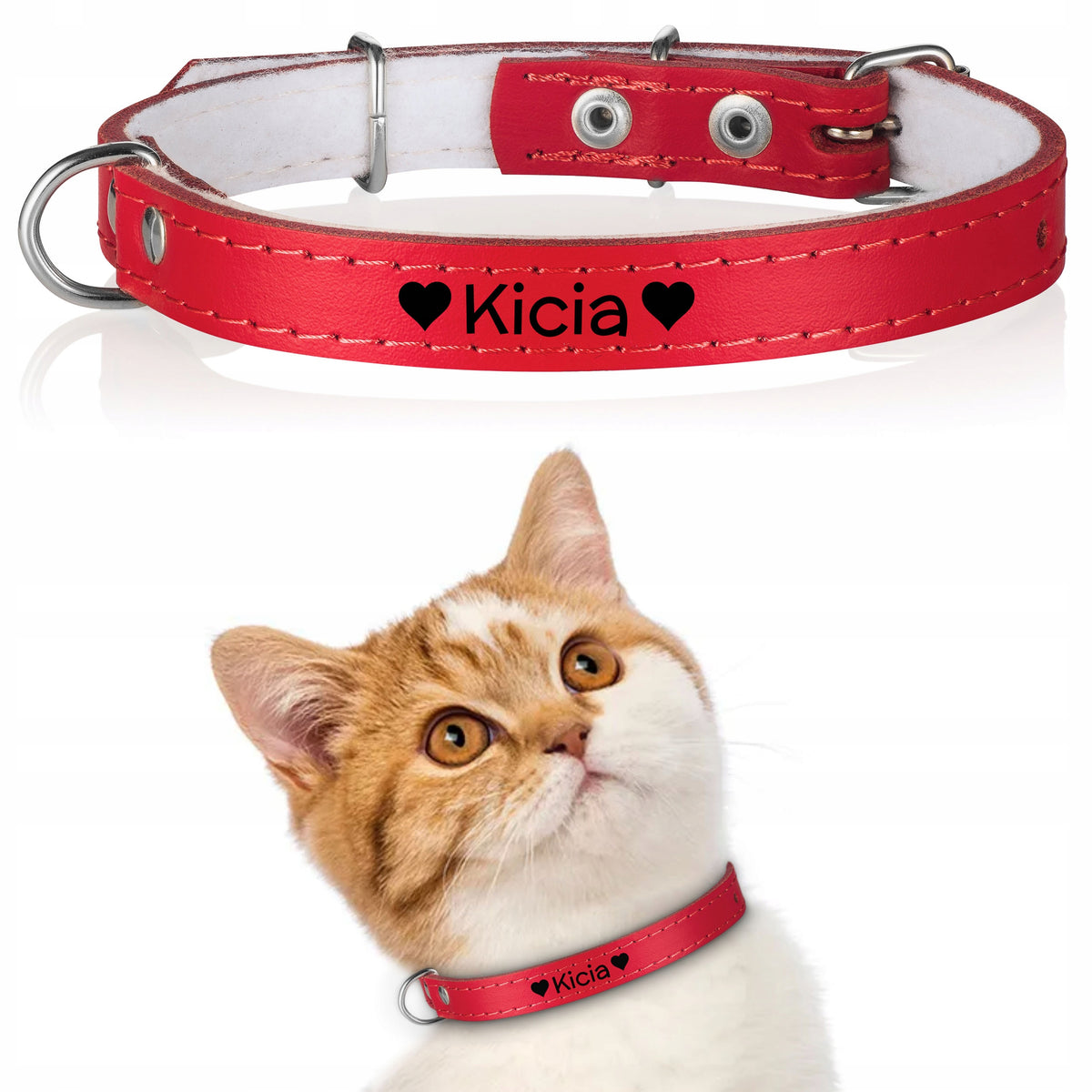 Dog Collar Engraving FREEBIE 10/30cm R1