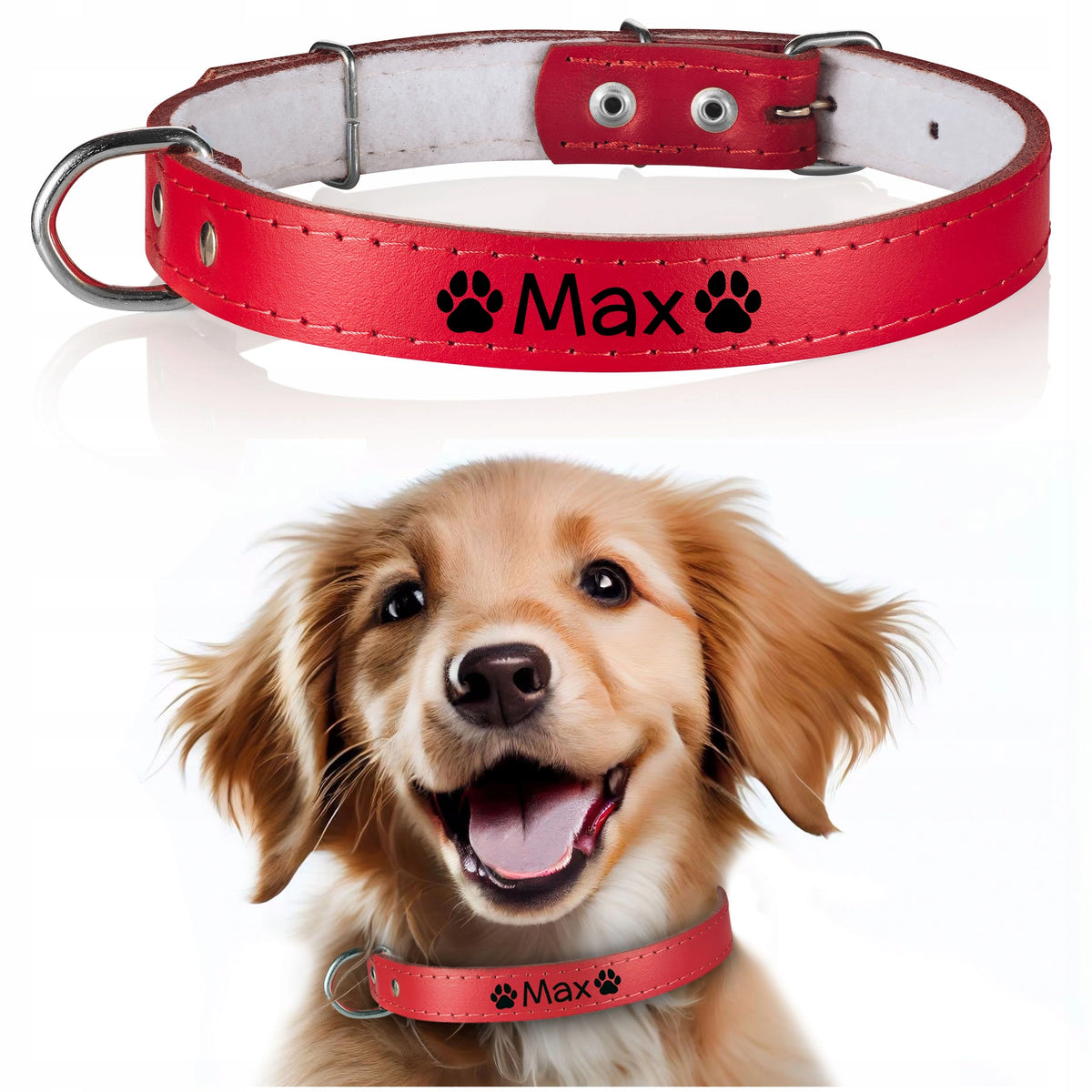 Dog Collar Engraving FREEBIE 16/45cm R4 Gift for Pupil