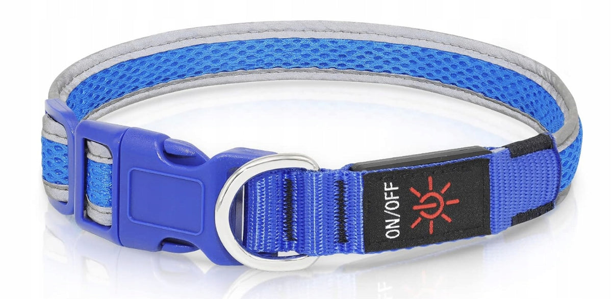 Dog Collar Glowing USB Charged Safety Night M Blue LED