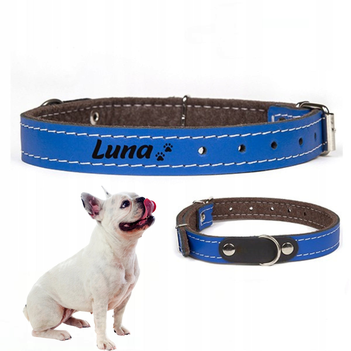 Dog Collar Leather With Name ENGRAVING FREEBIE Dogeste L